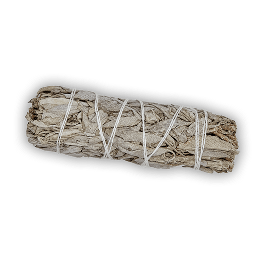 Weißer Salbei - BIO