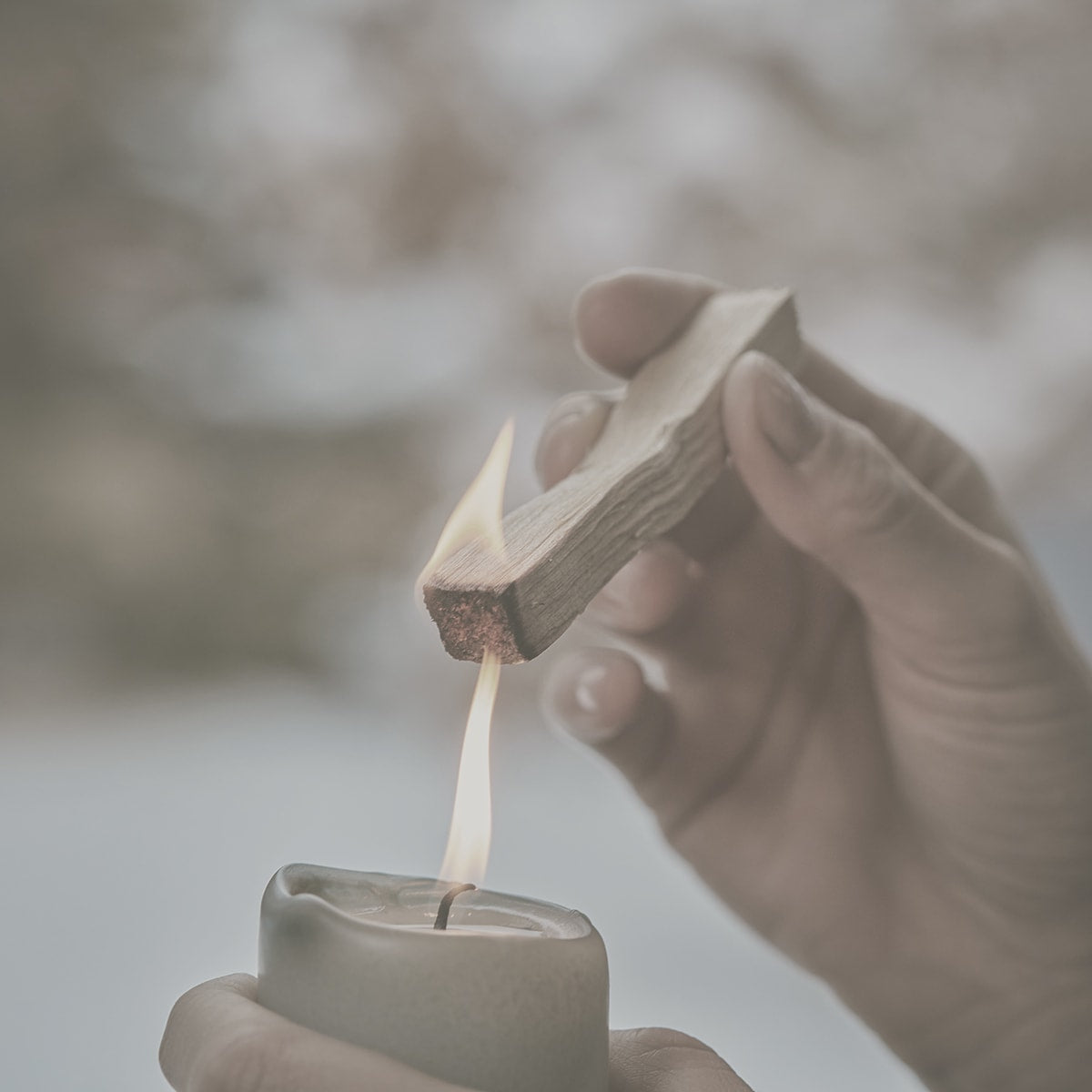 Palo Santo