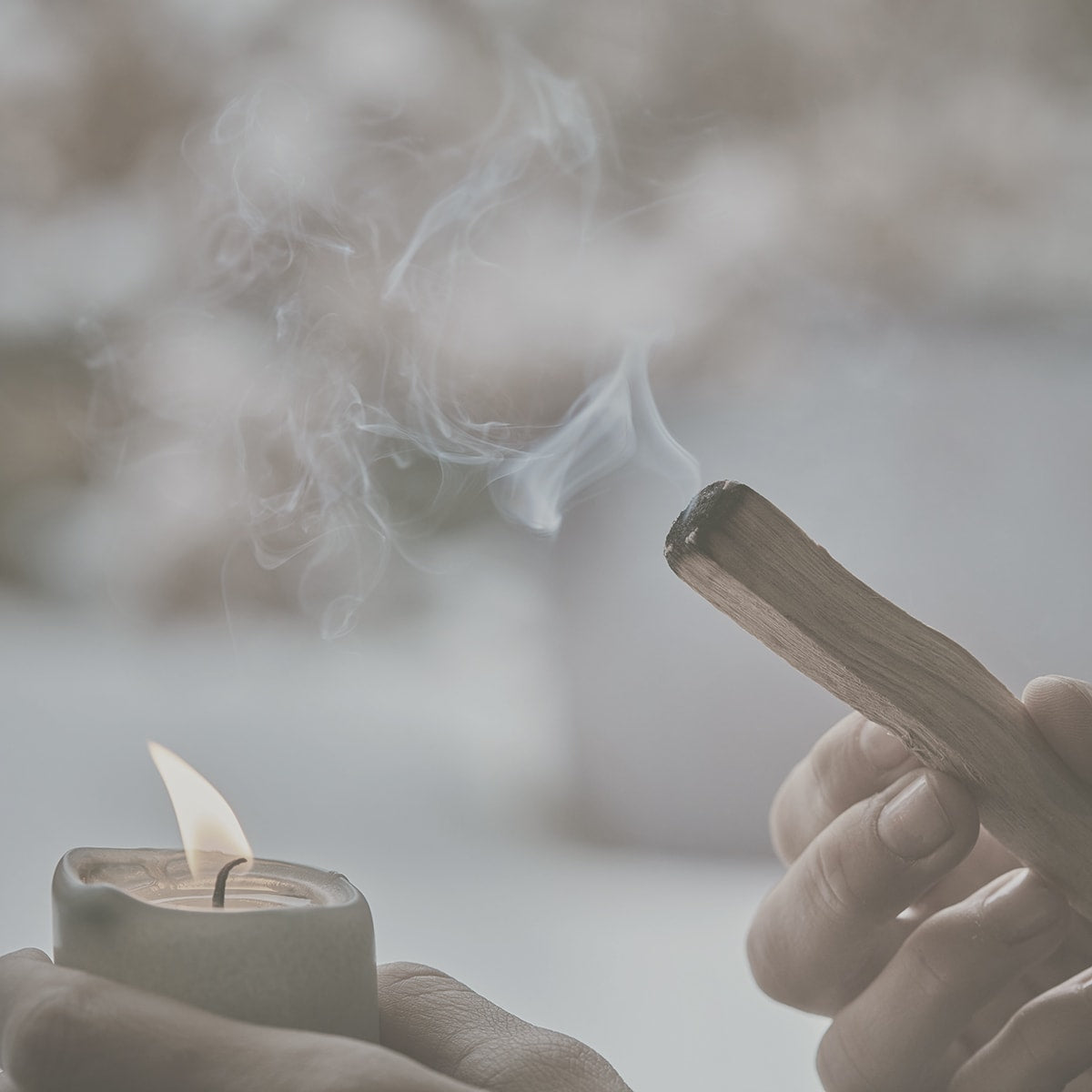 Palo Santo