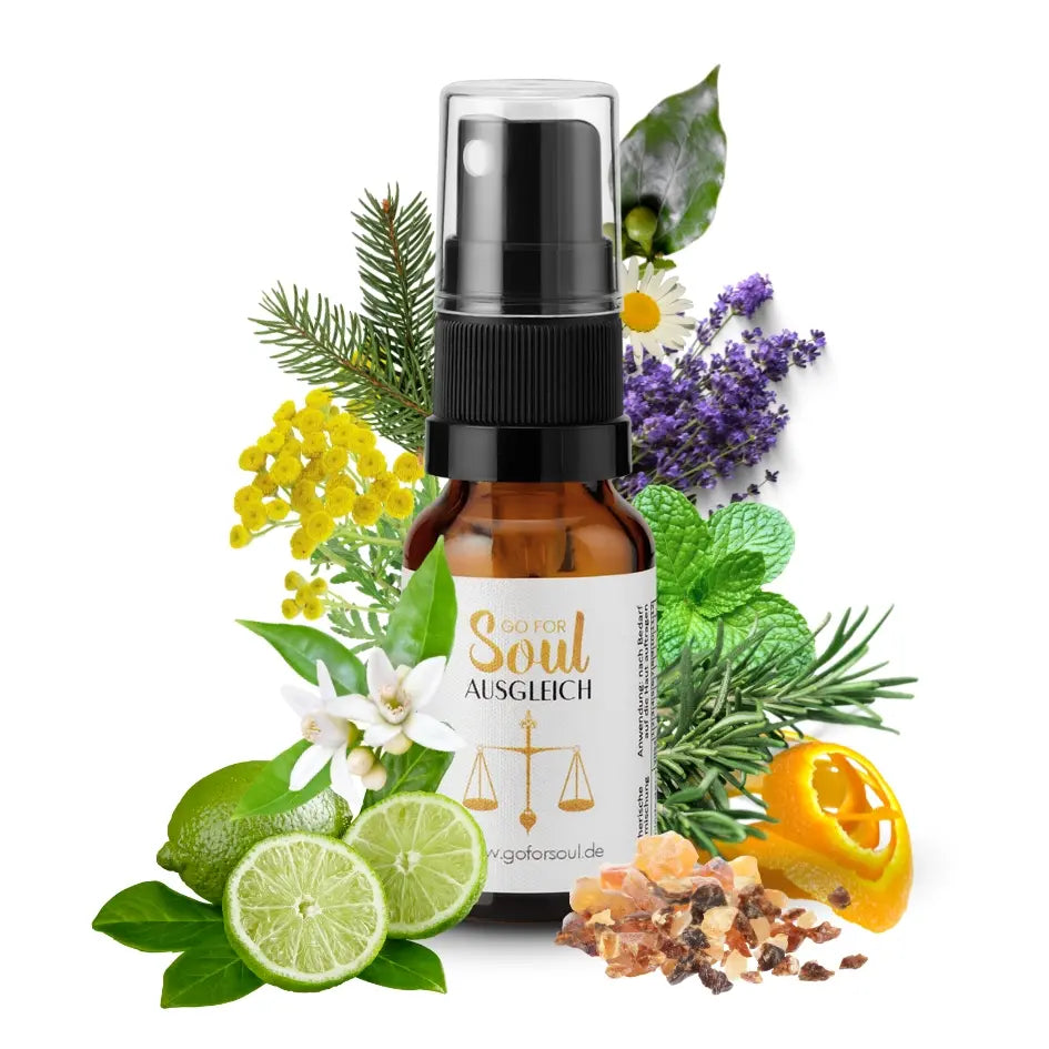 Dentosophie Bundle – Kinder