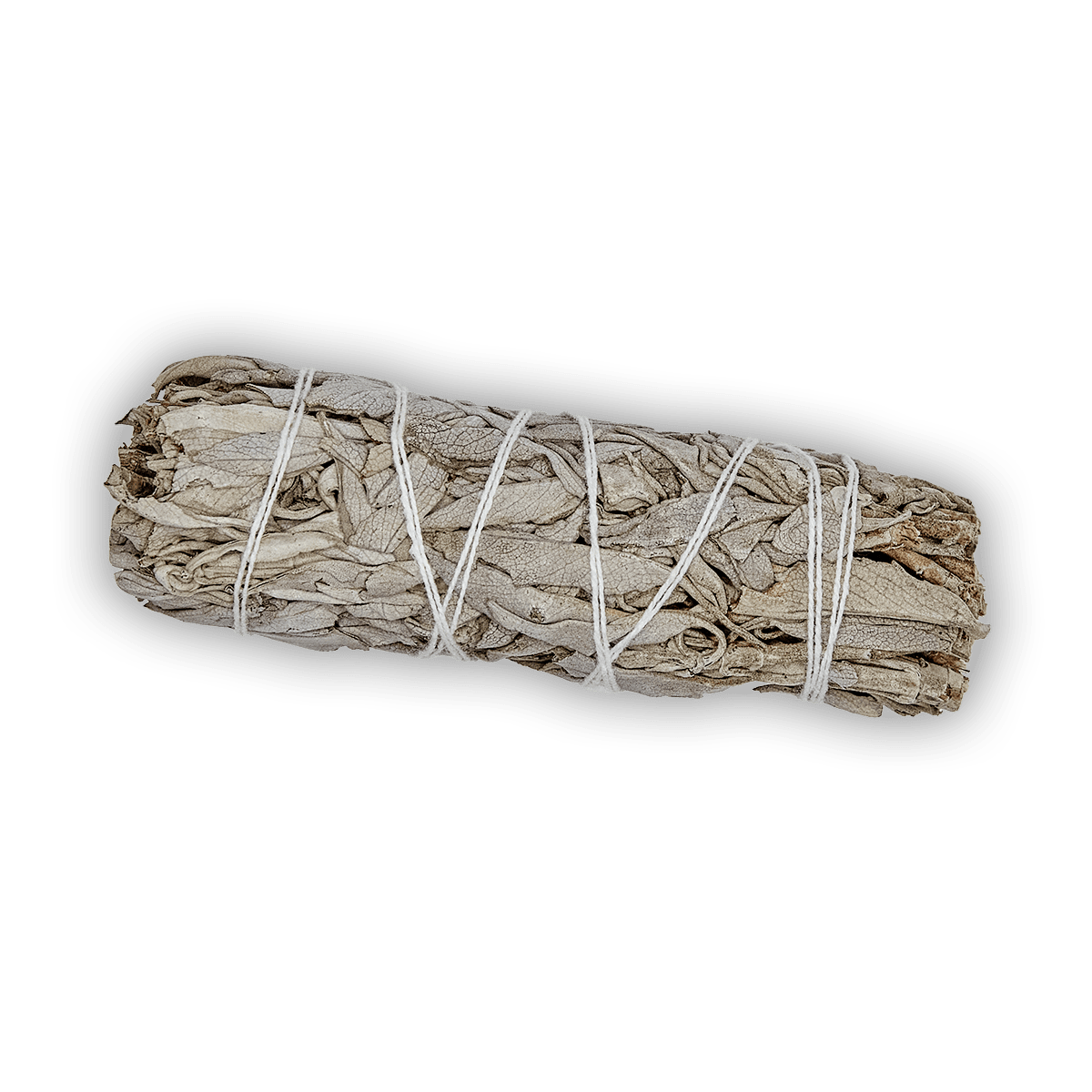 Weißer Salbei - BIO