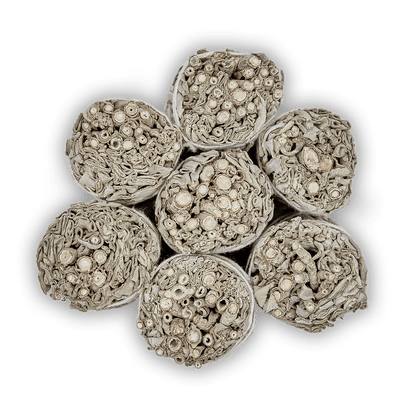 Weißer Salbei - BIO