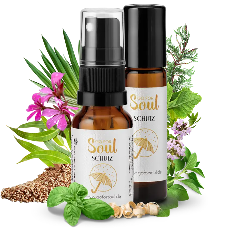Gesunde Grenzen - Bundle
