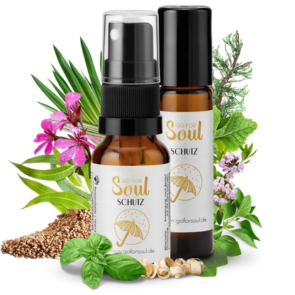 Gesunde Grenzen - Bundle