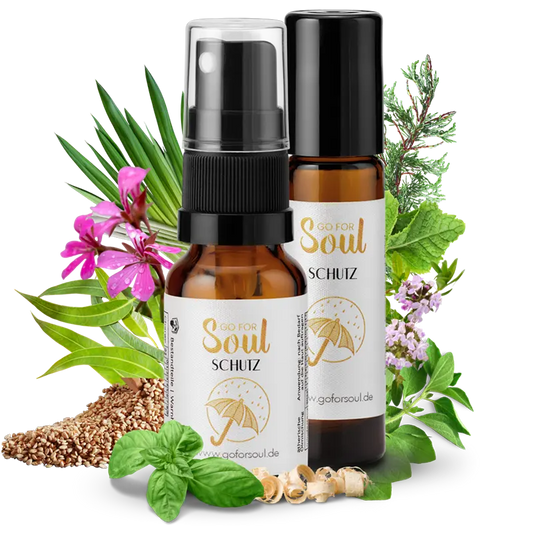 Gesunde Grenzen - Bundle