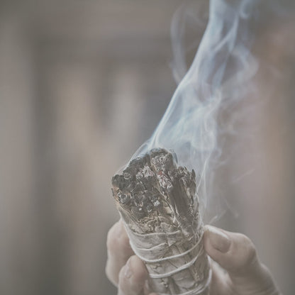 Weißer Salbei - BIO