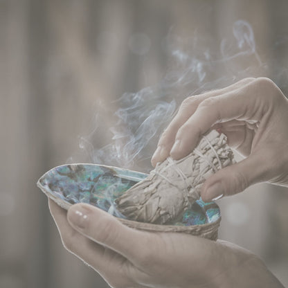 Weißer Salbei - BIO